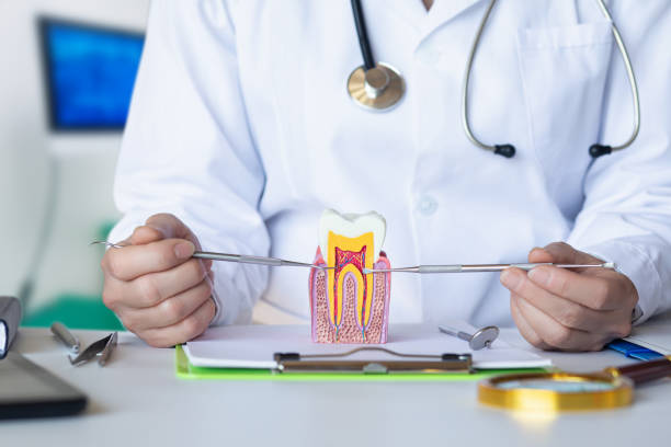 Best Emergency Root Canal Treatment in Cherokee Village, AR